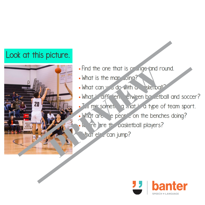 Blank's Language Level 2 - Classification