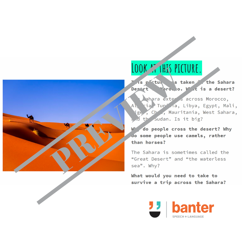 Blank's Language Level 4 - Verbal Reasoning and Inferences