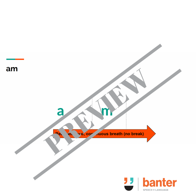 Banter Early Reading Program: Workbook 01