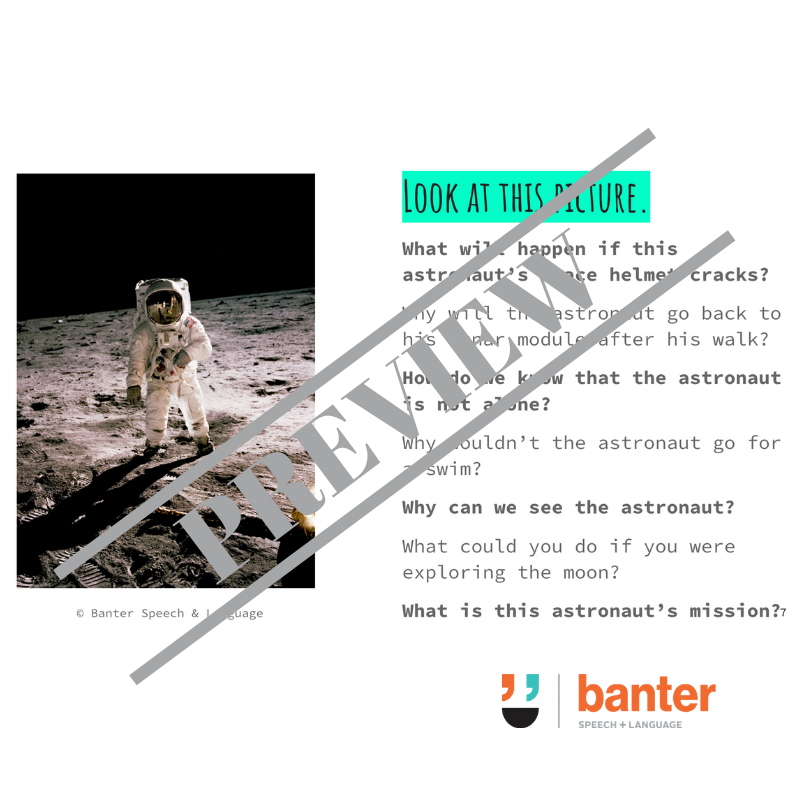 Blank's Language Level 4 - Verbal Reasoning and Inferences