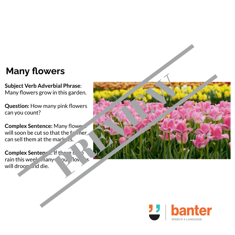 Early Concepts: Oral Language Program