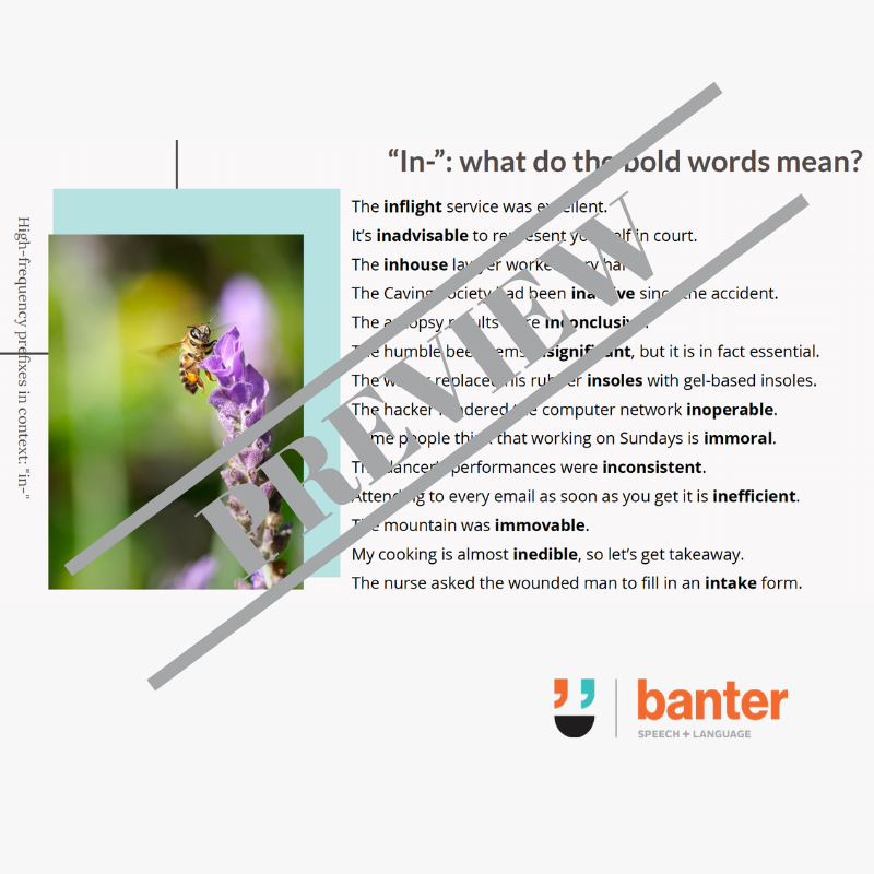 Morphological Awareness Program