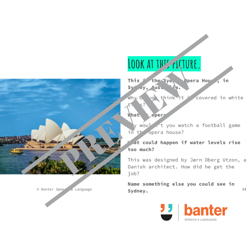 Blank's Language Level 4 - Verbal Reasoning and Inferences