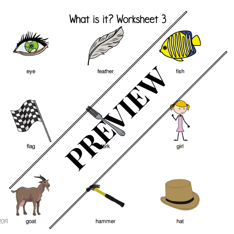 Following Directions